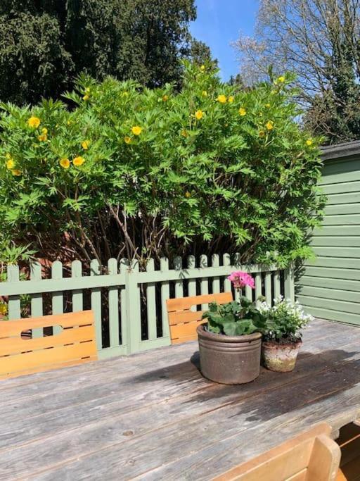 Beautiful Georgian Cottage Within A Private Walled Garden أوكهام المظهر الخارجي الصورة