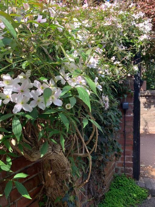 Beautiful Georgian Cottage Within A Private Walled Garden أوكهام المظهر الخارجي الصورة
